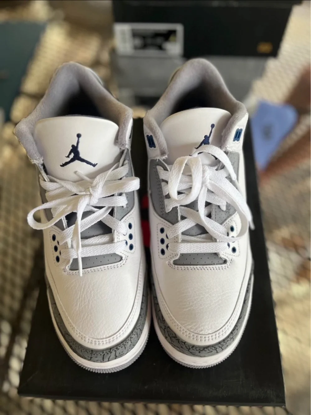 Air Jordan 3 retro gs